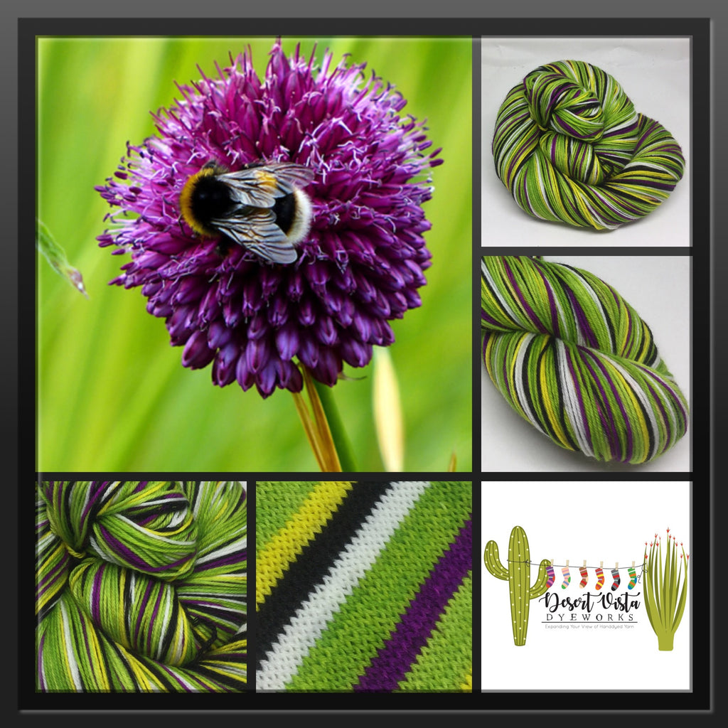 Bee Six Stripe Self Striping Yarn
