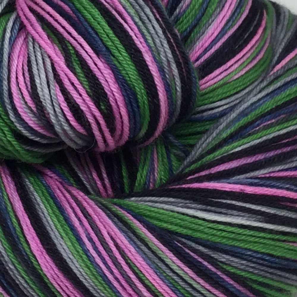 Public Gardens Five Stripe Self Striping Yarn