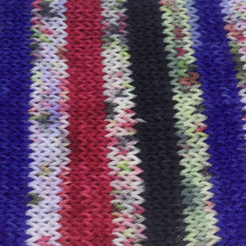 ZomBody Bouregarde Six Stripe Self Striping Yarn