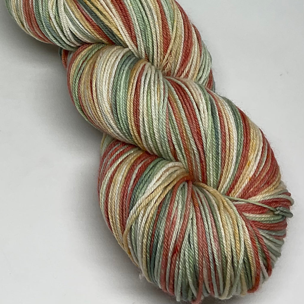 Abstract Cacti Five Stripe Self Striping Yarn
