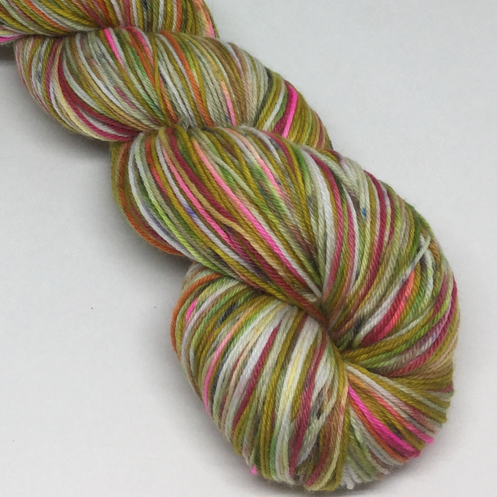 Sasha ZomBody Velour Four Stripe Self Striping Yarn