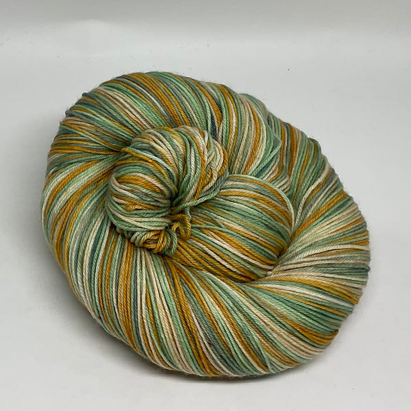 The Extremely Rare Princess Leia Toad Four  Stripe Self Striping Yarn