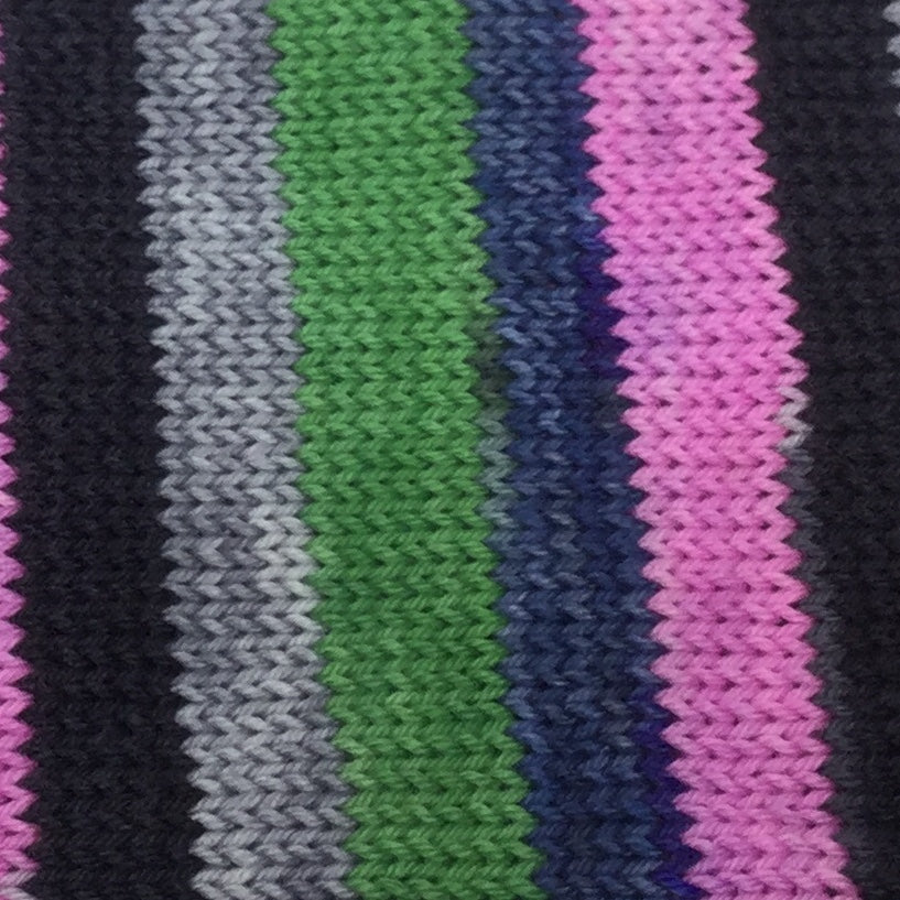 Public Gardens Five Stripe Self Striping Yarn