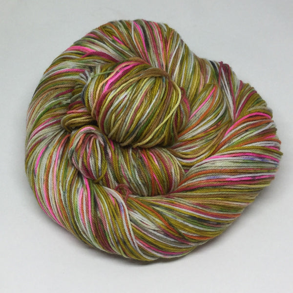 Sasha ZomBody Velour Four Stripe Self Striping Yarn