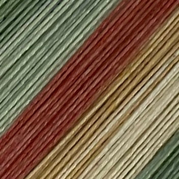 Abstract Cacti Five Stripe Self Striping Yarn
