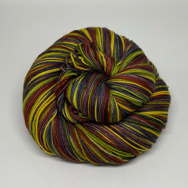 Blue Ridge Parkway Six Stripe Self Striping Yarn