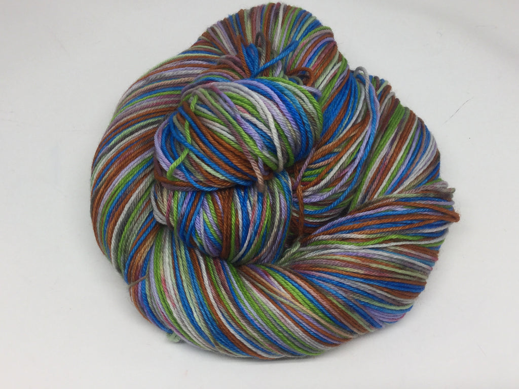 A ZomBodys Life for Me Six Stripe Self Striping Yarn