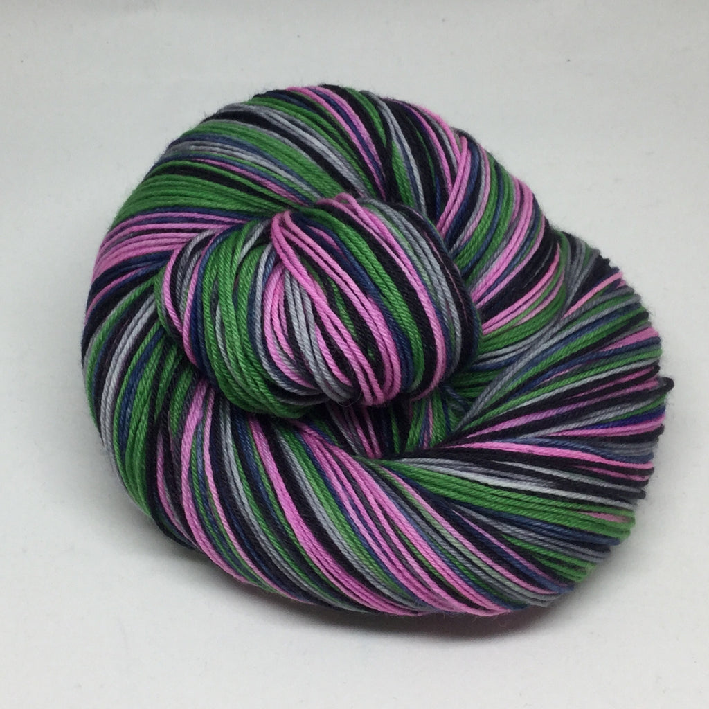 Public Gardens Five Stripe Self Striping Yarn