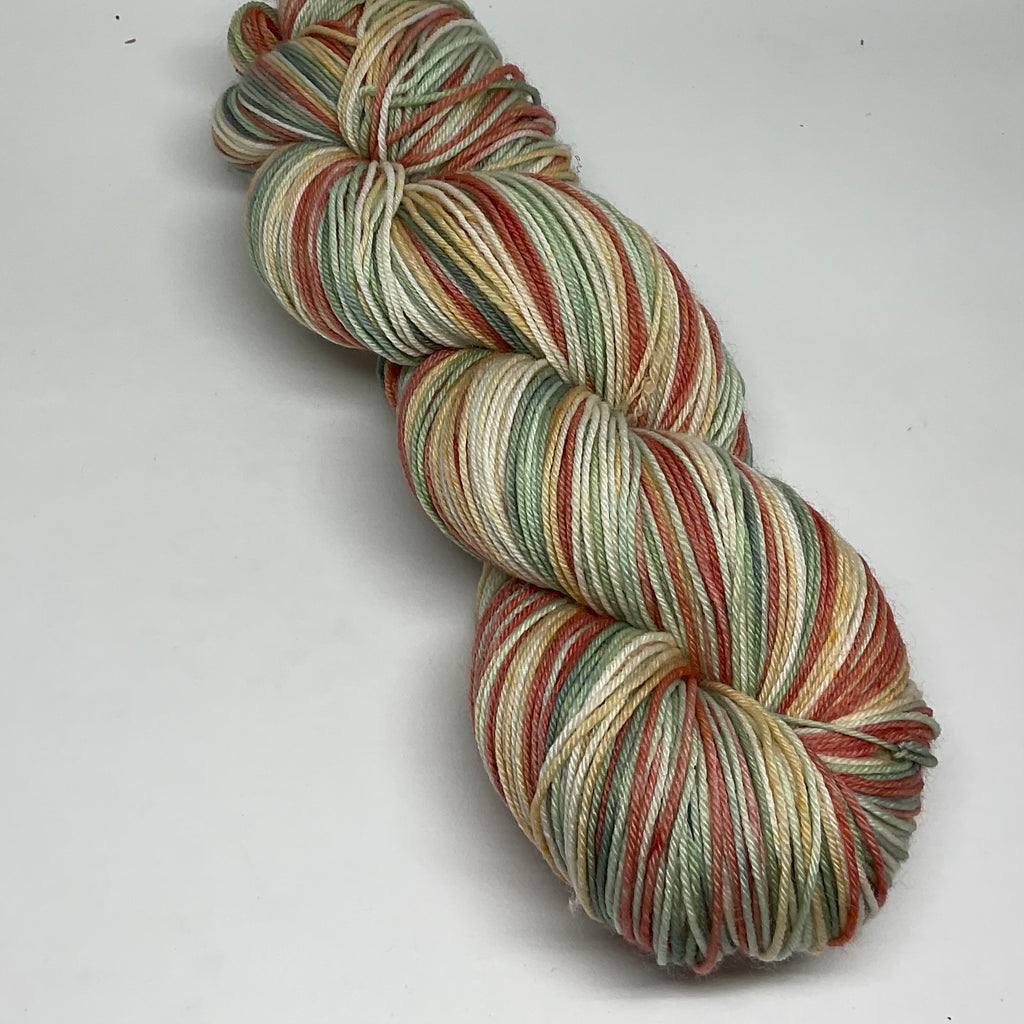 Abstract Cacti Five Stripe Self Striping Yarn