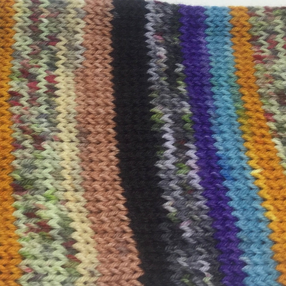 Roadrunner and ZomBody Coyote Eight Stripe Self Striping Yarn