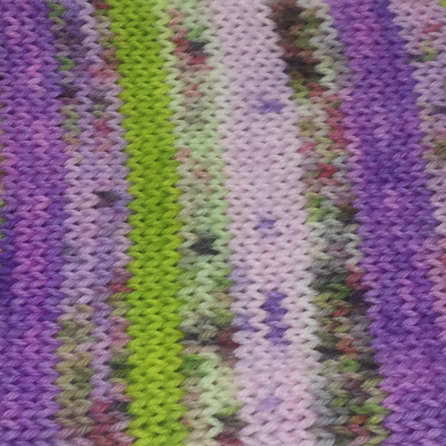 Daphne Zombody Blake Six Stripe Self Striping Yarn