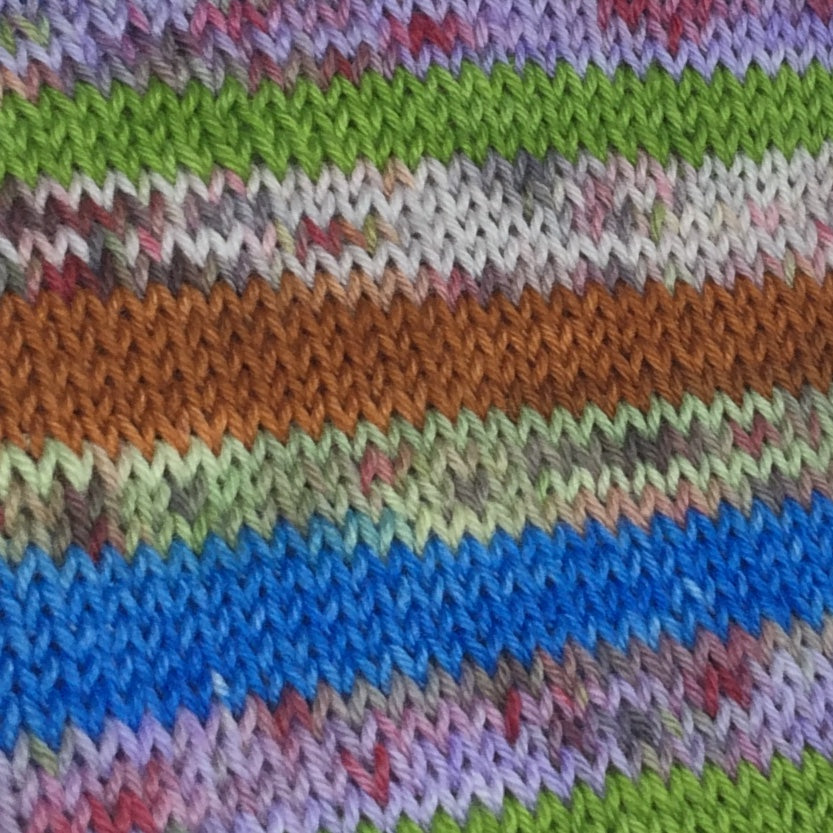 A ZomBodys Life for Me Six Stripe Self Striping Yarn