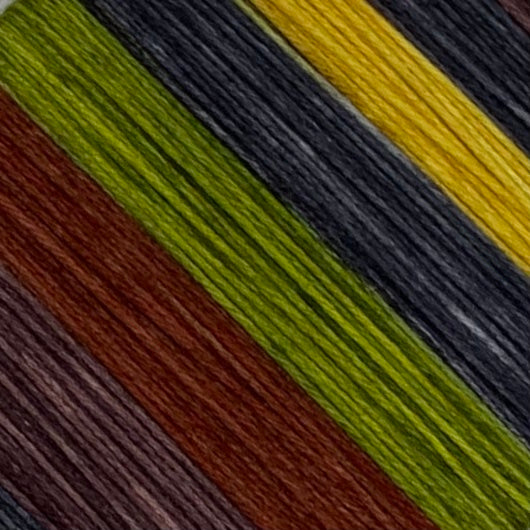 Blue Ridge Parkway Six Stripe Self Striping Yarn