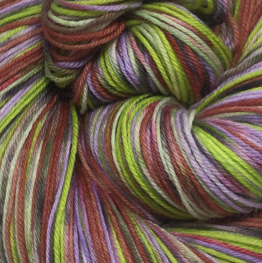 Shaggy ZomBody Rogers Four Stripe Self Striping Yarn