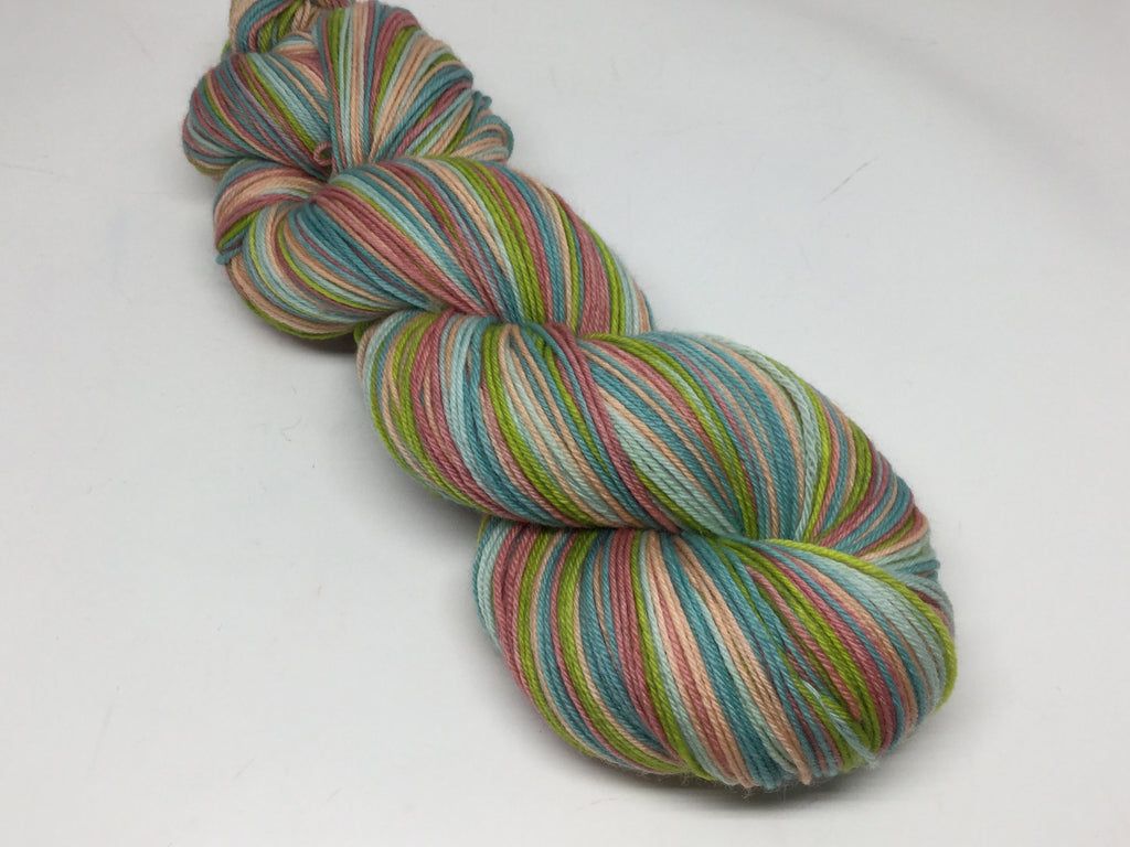 National Parks Five Stripe Self Striping Yarn