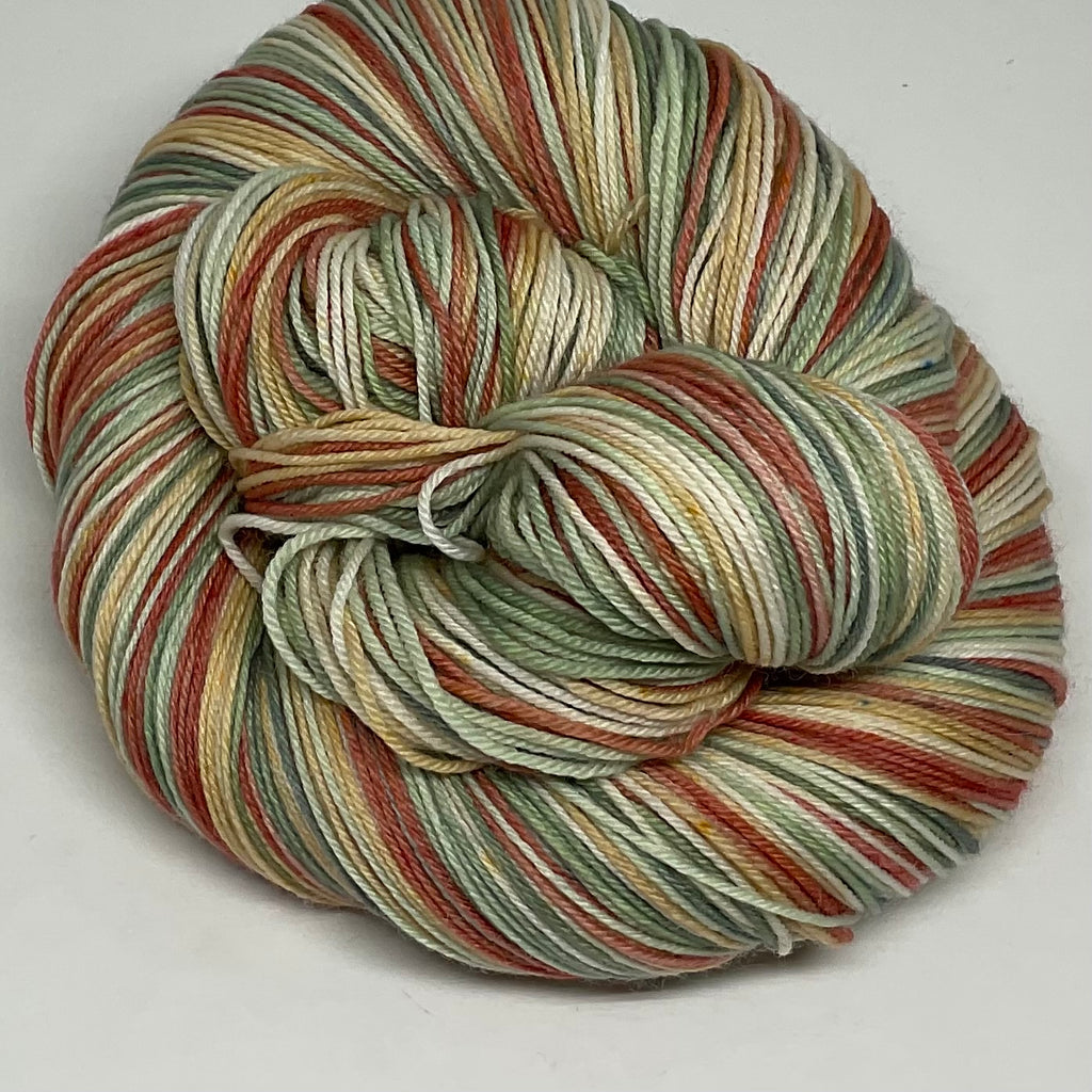 Abstract Cacti Five Stripe Self Striping Yarn
