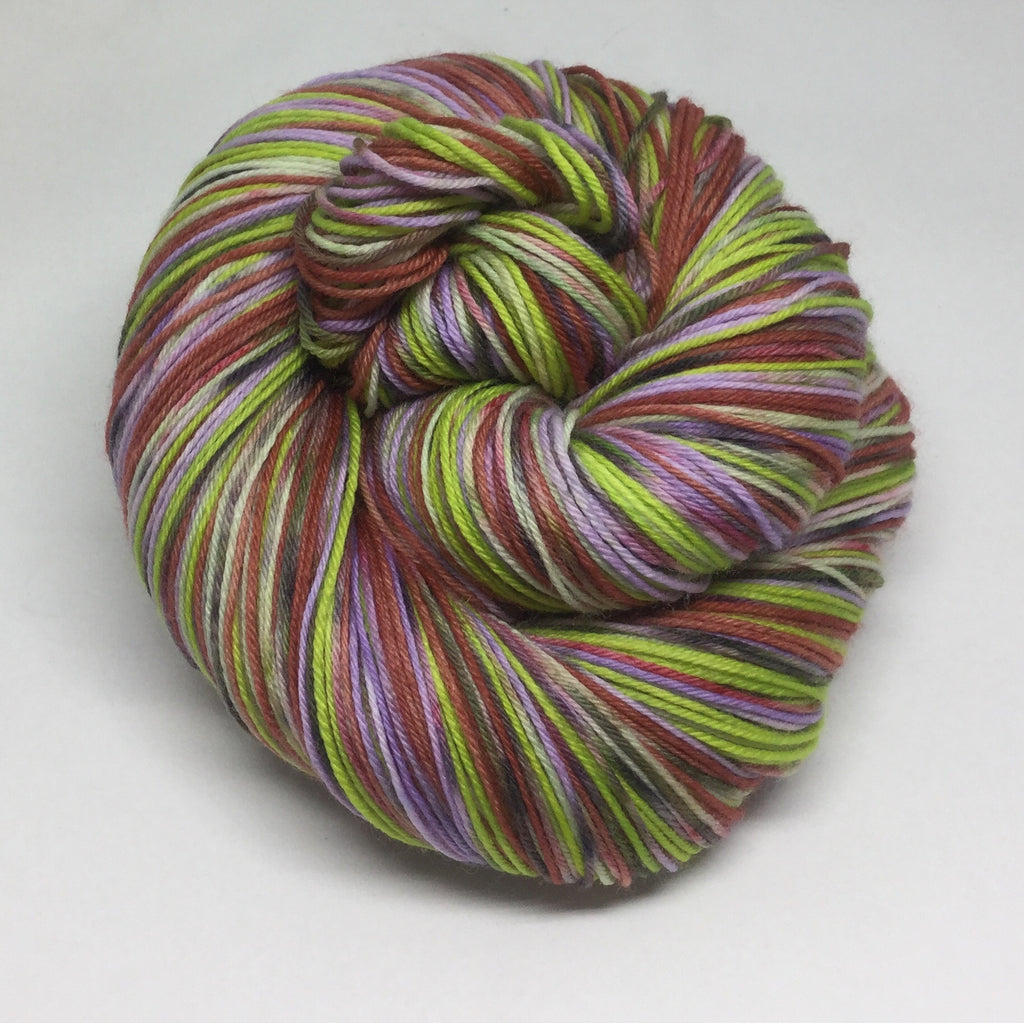 Shaggy ZomBody Rogers Four Stripe Self Striping Yarn