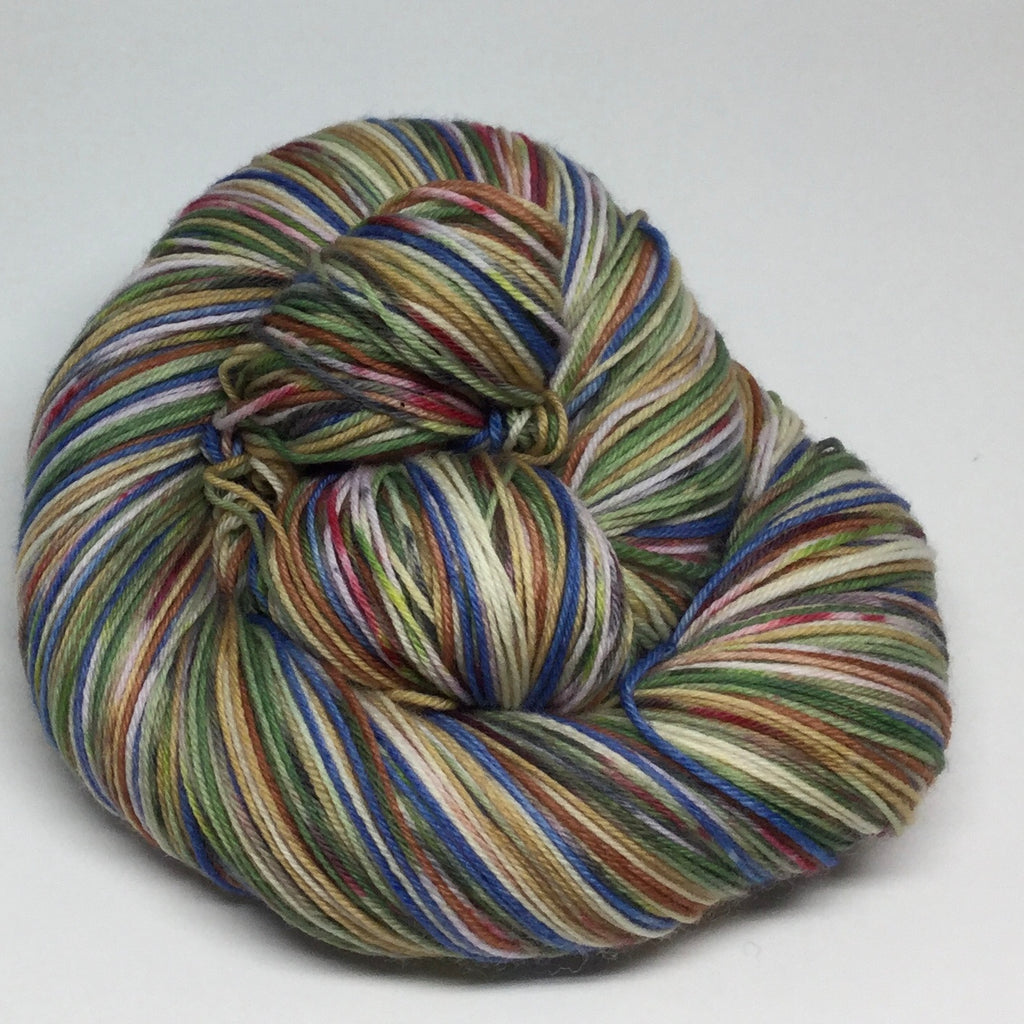 ZomBody Yogi and Boo Boo Eight Stripe Self Striping Yarn