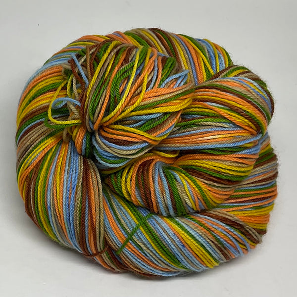 Drake Six Stripe Self Striping Yarn