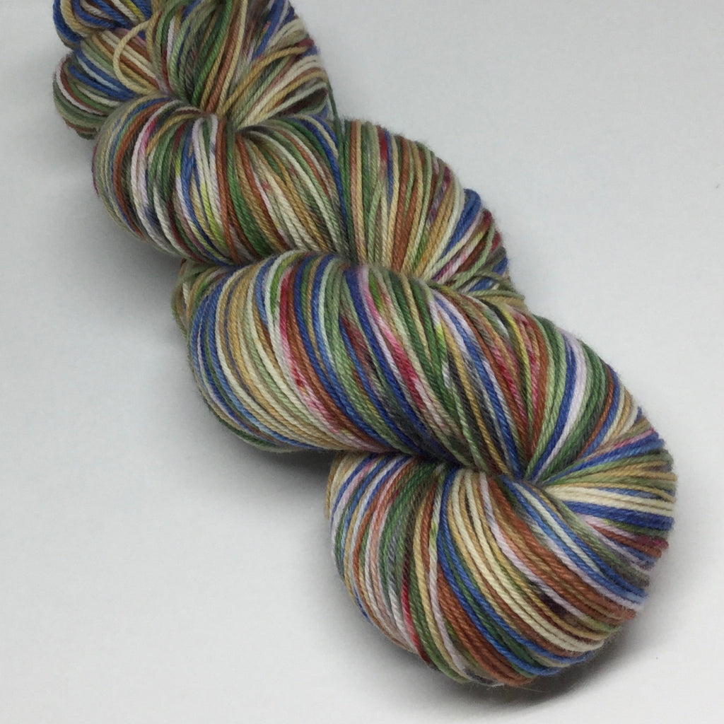 ZomBody Yogi and Boo Boo Eight Stripe Self Striping Yarn