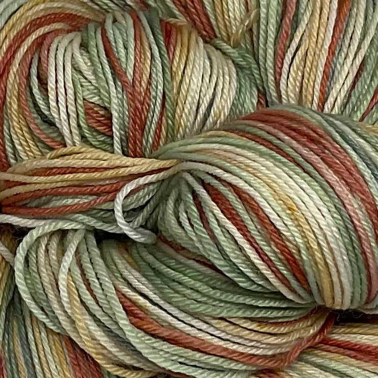 Abstract Cacti Five Stripe Self Striping Yarn
