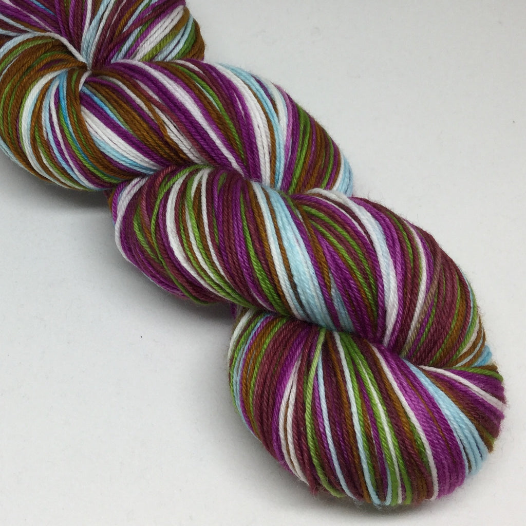 Heather in the Highlands Six Stripe Self Striping Yarn