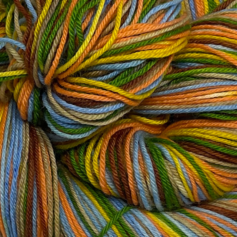 Drake Six Stripe Self Striping Yarn