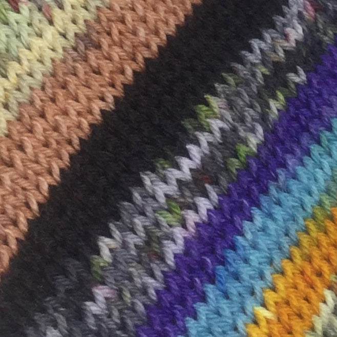 Roadrunner and ZomBody Coyote Eight Stripe Self Striping Yarn
