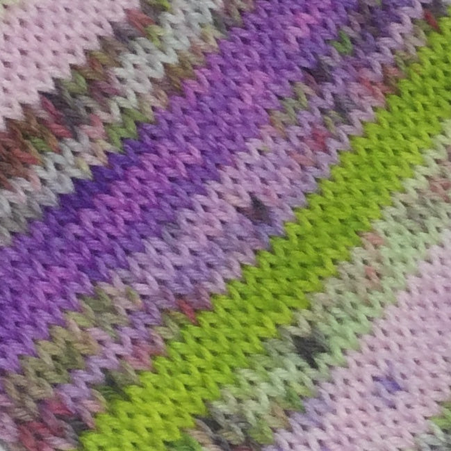 Daphne Zombody Blake Six Stripe Self Striping Yarn