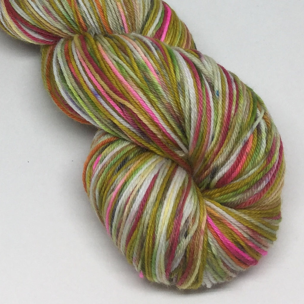 Sasha ZomBody Velour Four Stripe Self Striping Yarn