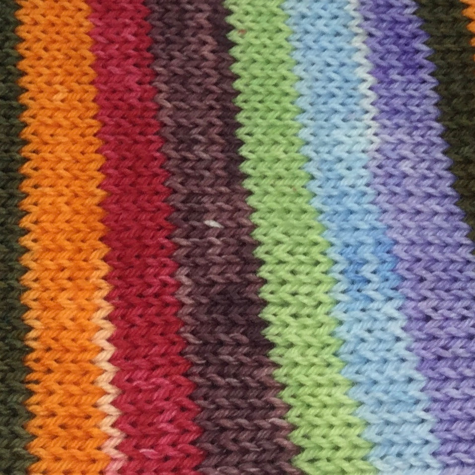 Arizona Landscape Seven Stripe Self Striping Yarn