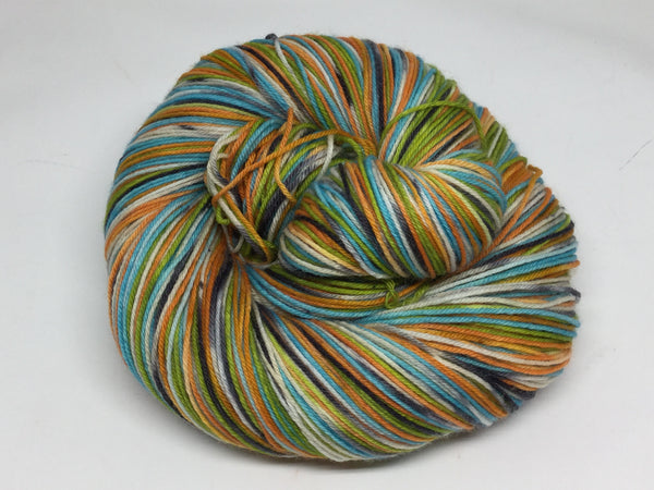 Milo and Otis Four Stripe Self Striping Yarn