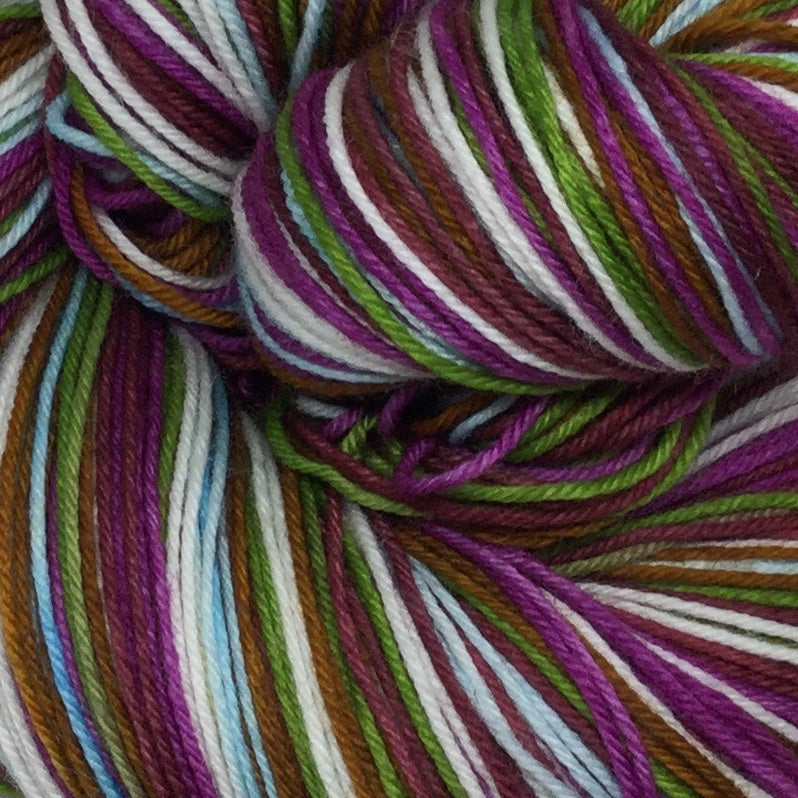 Heather in the Highlands Six Stripe Self Striping Yarn