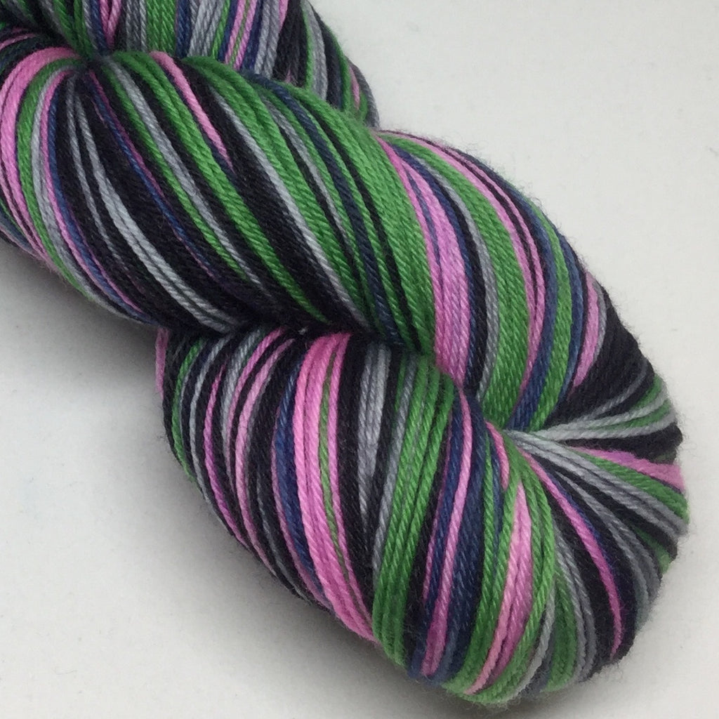 Public Gardens Five Stripe Self Striping Yarn