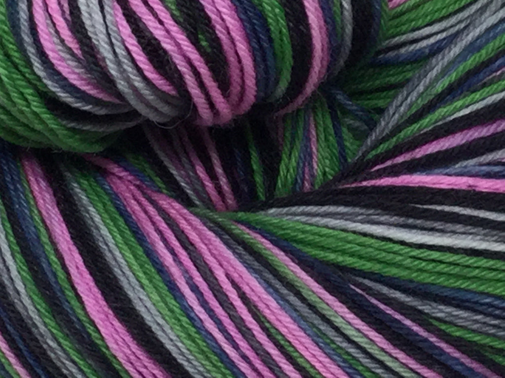 Public Gardens Five Stripe Self Striping Yarn