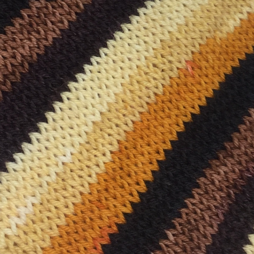 Lions and Tigers and Bears Six Stripe Self Striping Yarn