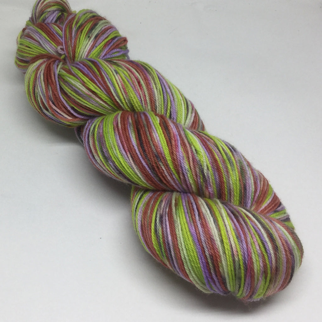 Shaggy ZomBody Rogers Four Stripe Self Striping Yarn
