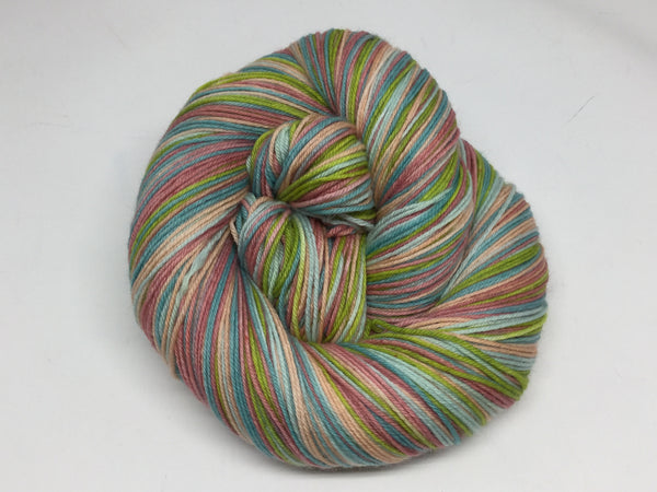 National Parks Five Stripe Self Striping Yarn