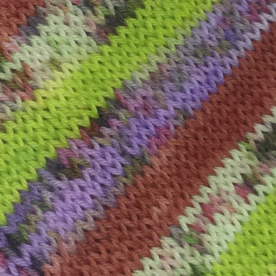 Shaggy ZomBody Rogers Four Stripe Self Striping Yarn