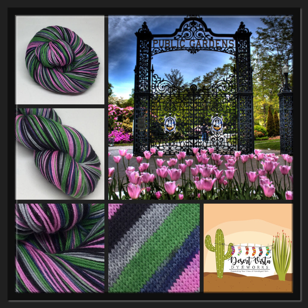 Public Gardens Five Stripe Self Striping Yarn