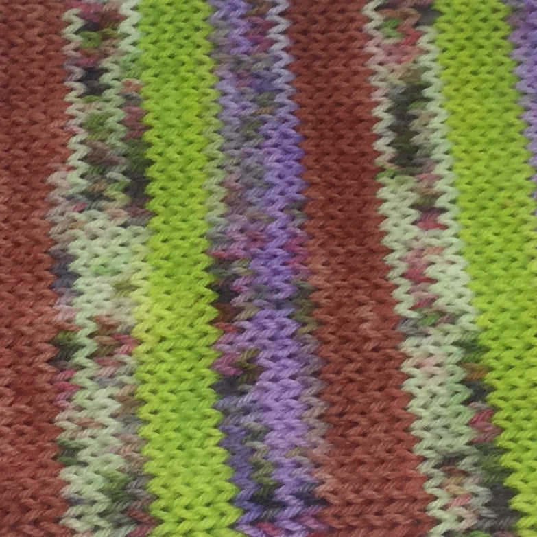 Shaggy ZomBody Rogers Four Stripe Self Striping Yarn