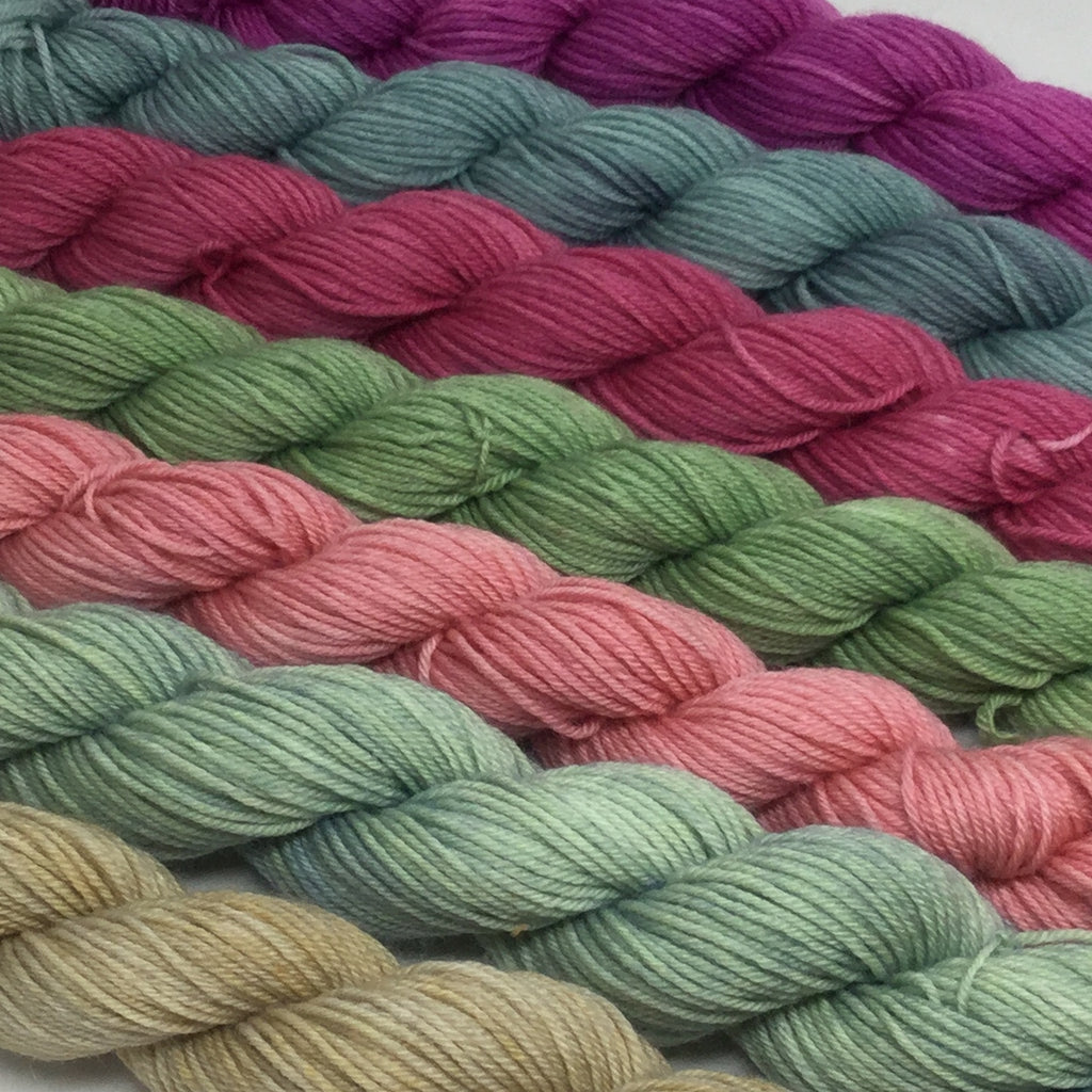 Sonoran Mini Skein for Toes and Heel Set Approx. 700 yards