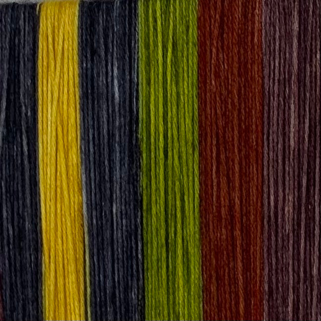 Blue Ridge Parkway Six Stripe Self Striping Yarn