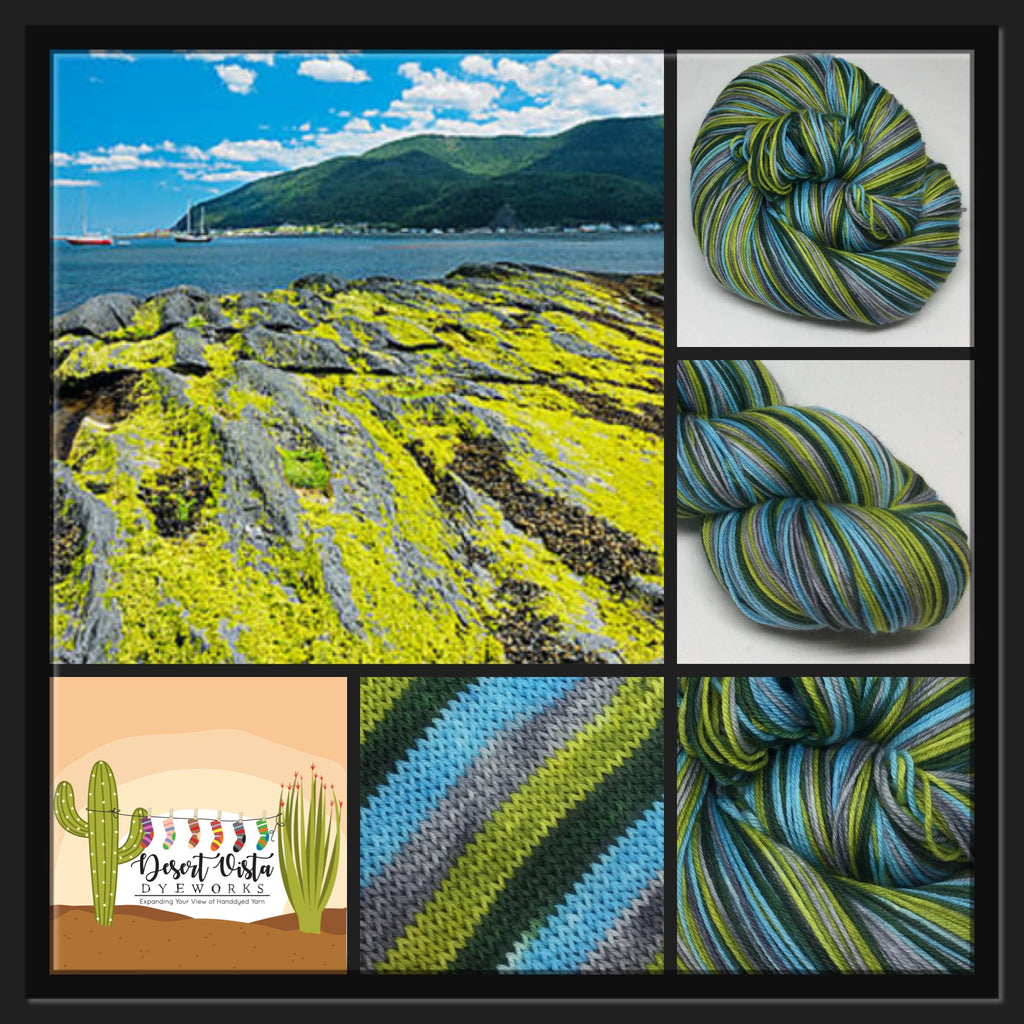 Saint Lawrence Four Stripe Self Striping Yarn