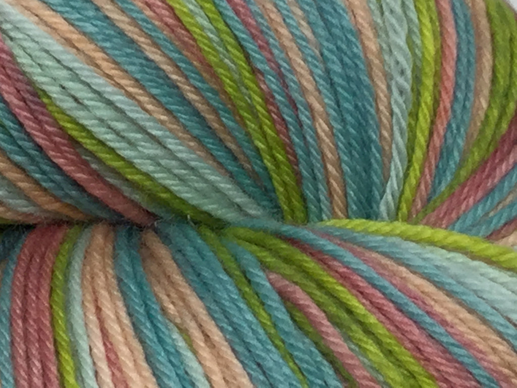 National Parks Five Stripe Self Striping Yarn