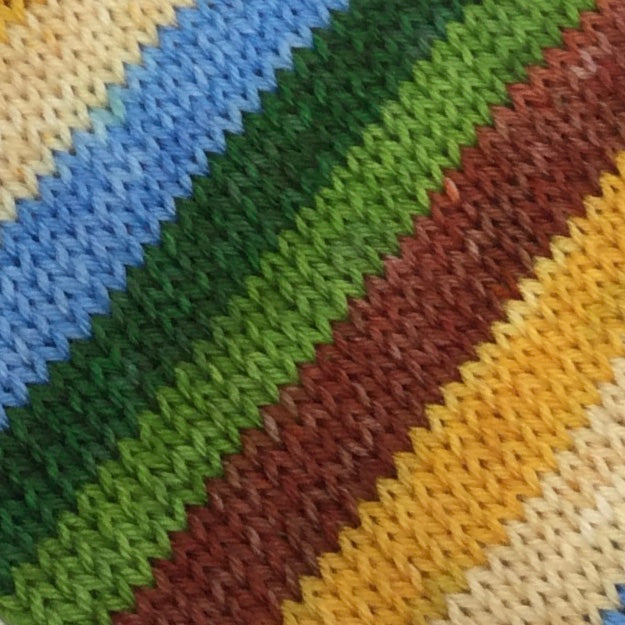 Acadia National Park Six Stripe Self Striping Yarn