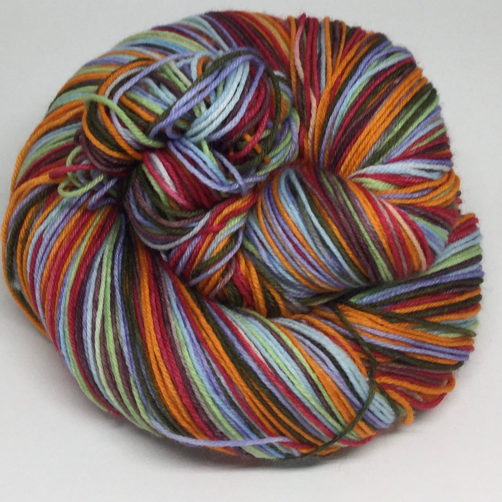 Arizona Landscape Seven Stripe Self Striping Yarn