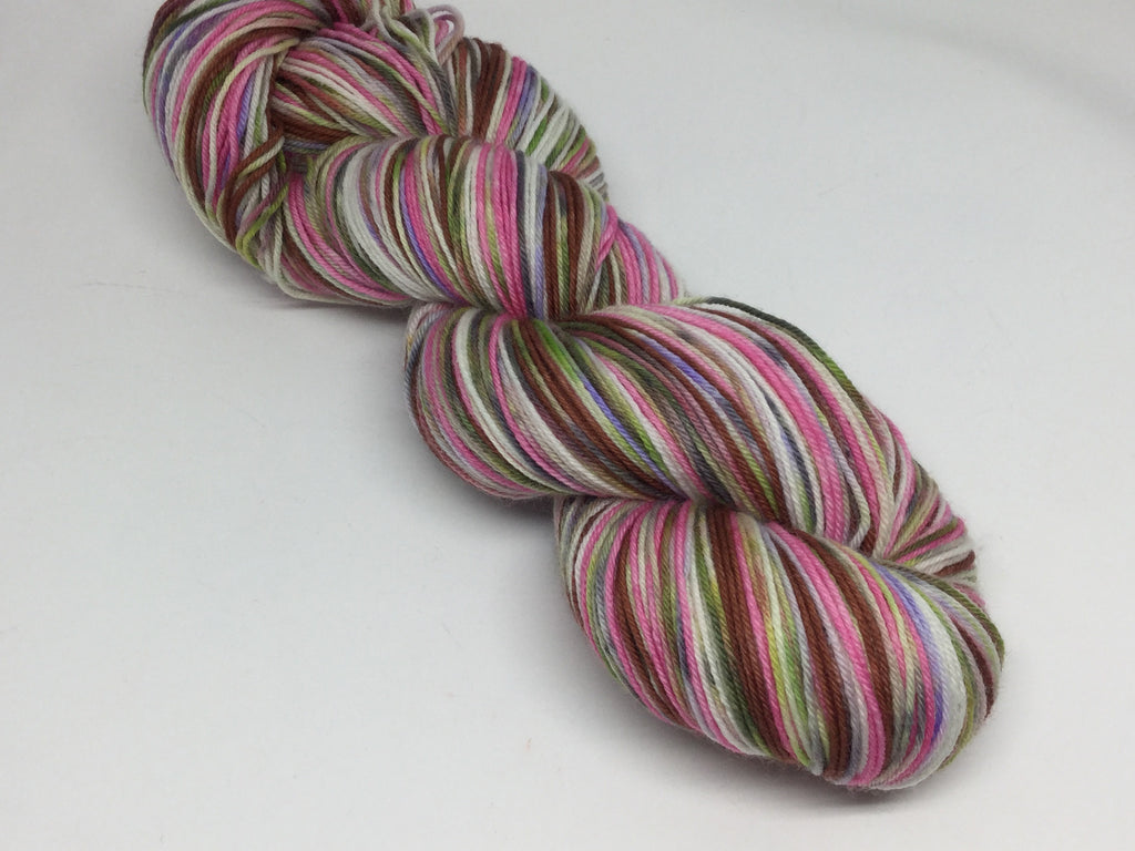 ZomBody Screams for Ice Cream Six Stripe Self Striping Yarn