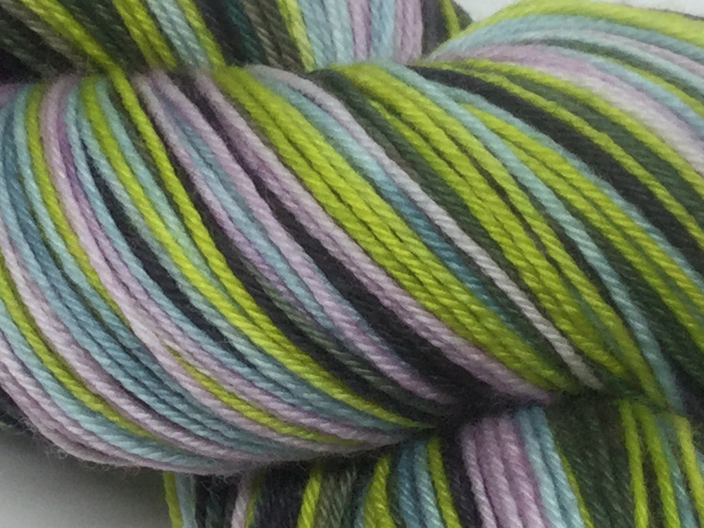 The Wasp Woman Five Stripe Self Striping Yarn