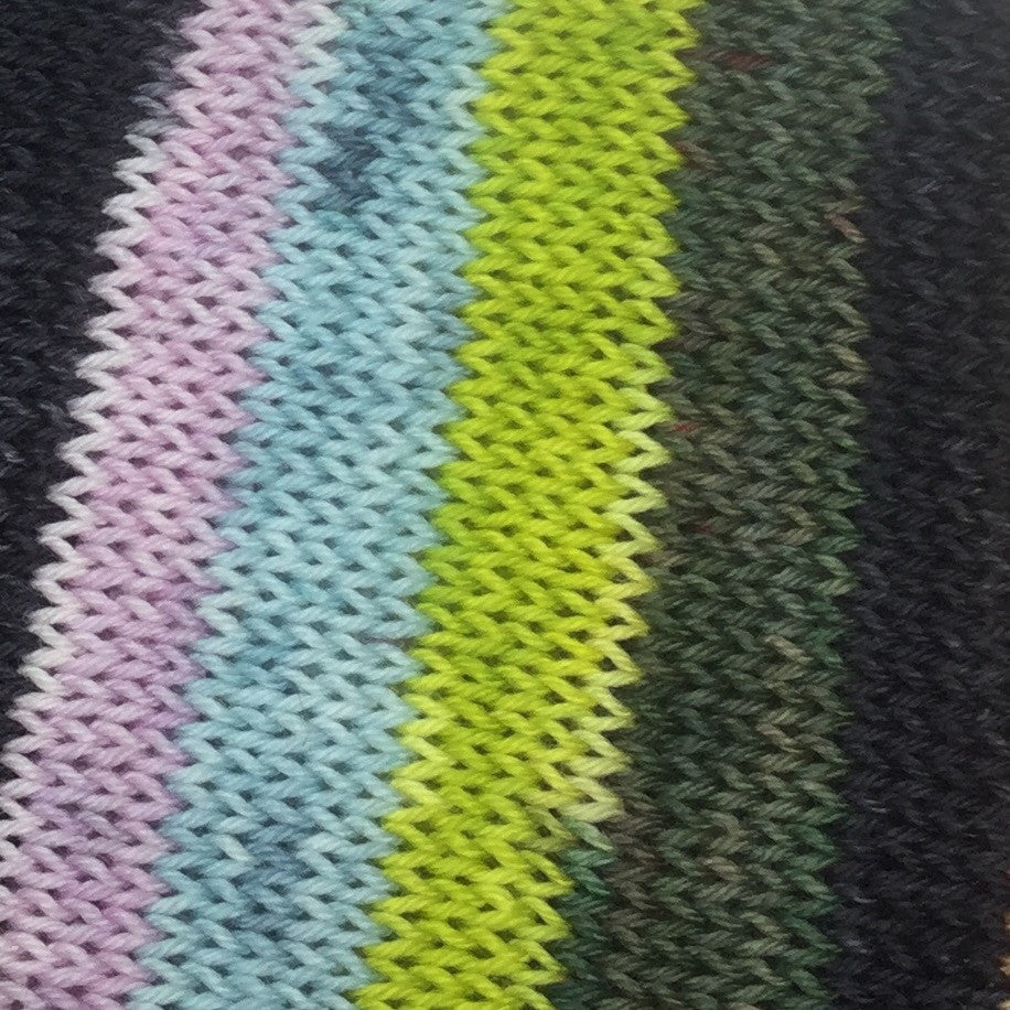The Wasp Woman Five Stripe Self Striping Yarn
